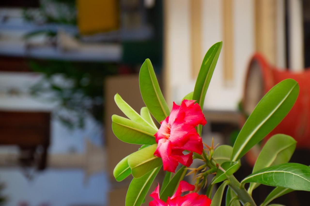 Pousada Tropicalia Canoa Quebrada Εξωτερικό φωτογραφία